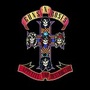 Appetite for Destruction