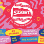 Festival Sziget nabízí dva a půl tisíce koncertů, divadel a akcí během sedmi dnů. 